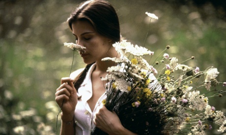 Stealing Beauty