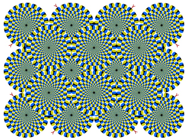 Are you tripping out with these rotating snakes? Professor Akiyoshi Kitaoka from Ritsumseikan University in Kyoto, Japan, has spent more than a decade creating his collection of moving optical illusions. See more of the images in our gallery.