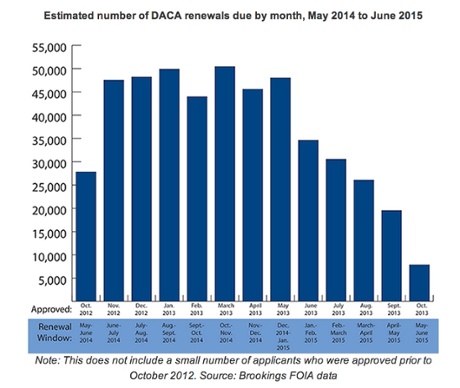 US Money Daca renewal rates 