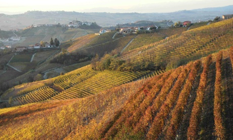 Guido Porro, Serralunga, Piedmont