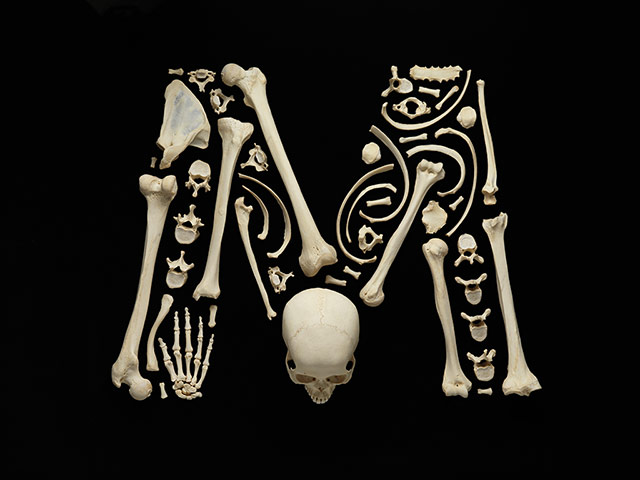 Snapshot: Alphabones M