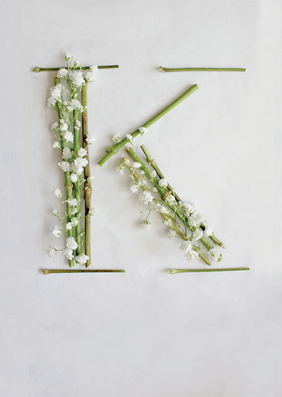 Snapshot: Baby's Breath K