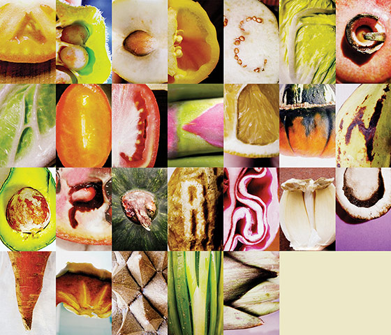 Snapshot: Fruits & Veggies