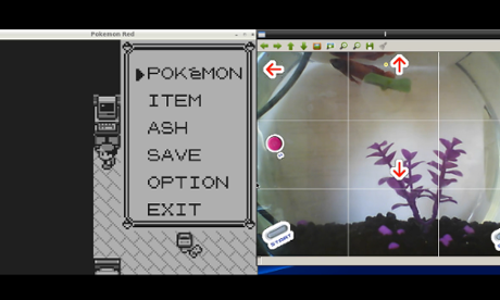 A Fish plays Pokémon.