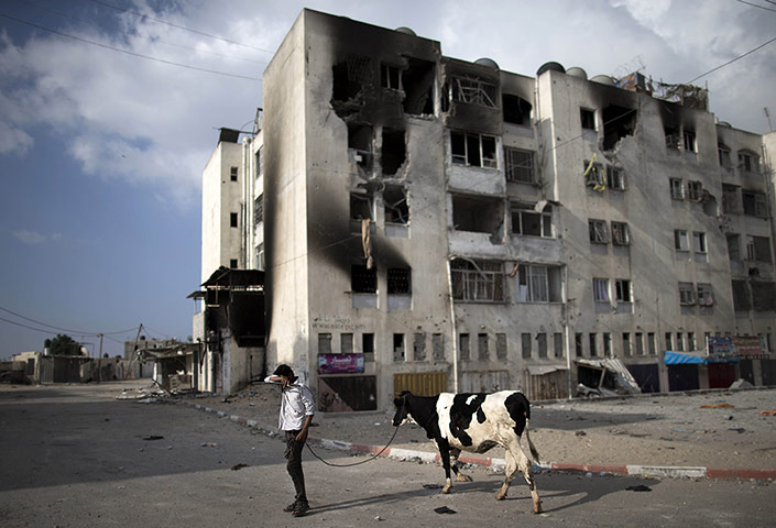 20 Photos: A Palestinian man leads a cow in front of destroyed buildings in Beit Lahia