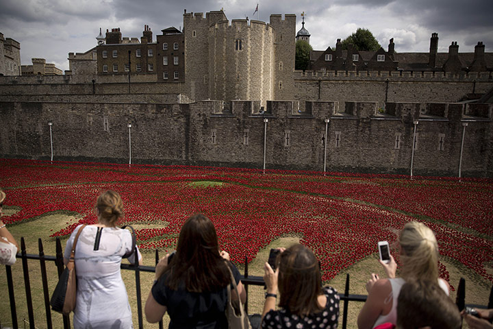 20 Photographs: 'Blood Swept Lands and Seas of Red' by  Paul Cummins at the Tower of London