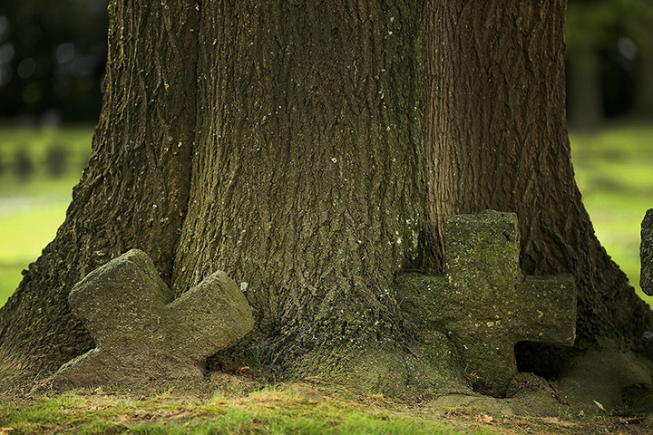 20 Photographs: Flanders Fields 100 years since the first world war