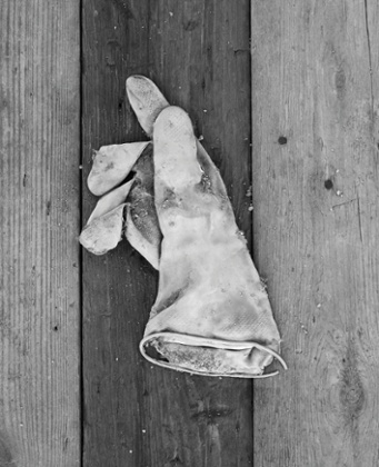 From Girls and Gloves, 2013.