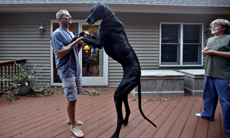  Kevin Doorlag with his great Dane, Zeus, in 2010