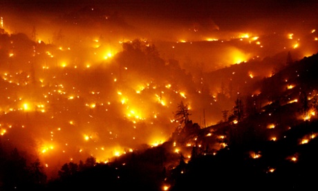 wildfire coyote canyon