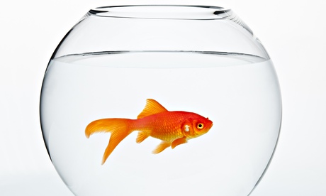 Surely it wouldn't remember? Jamie Lloyd's revival of Richard III has faced protests over an onstage