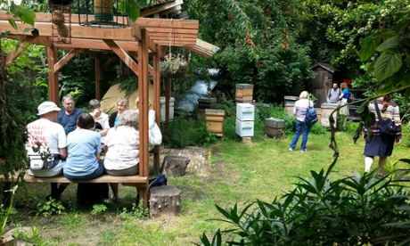 bees