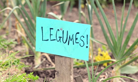 SAGE Greenfingers horticultural therapy project, Sheffield.