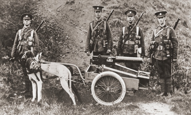 Dogs were often used by the British Army to pull machine guns.