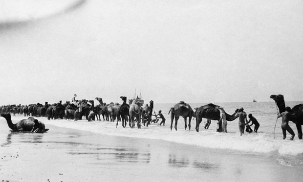 Indian troops with the British army wash camels in the sea off Rafa, Palestine.