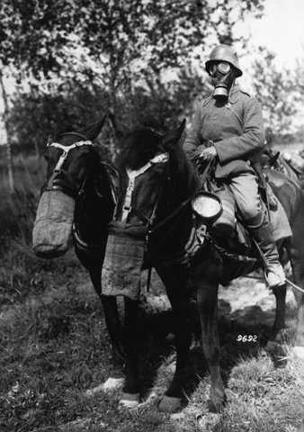 German soldier and horses, both equipped with gas masks.