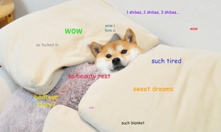 Example of the doge meme.