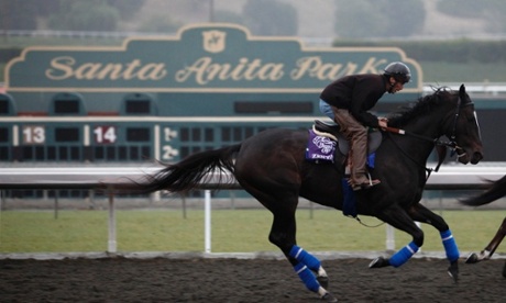 Zenyatta before 2009 Breeders' Cup Classic at Santa Anita Park