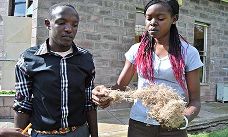 MDG : Kabarak university students creating sanitary towels made from banana fibre