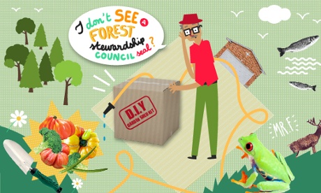 rainforest alliance frog