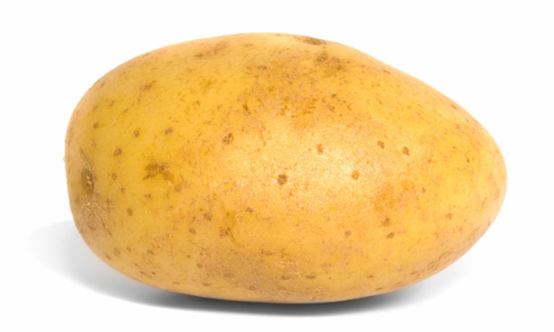 Potato