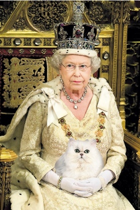 'This isn't one's corgi.'