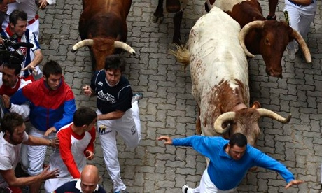 Cebada Gago fighting bulls