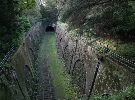 Plants have overtaken the former rail track.