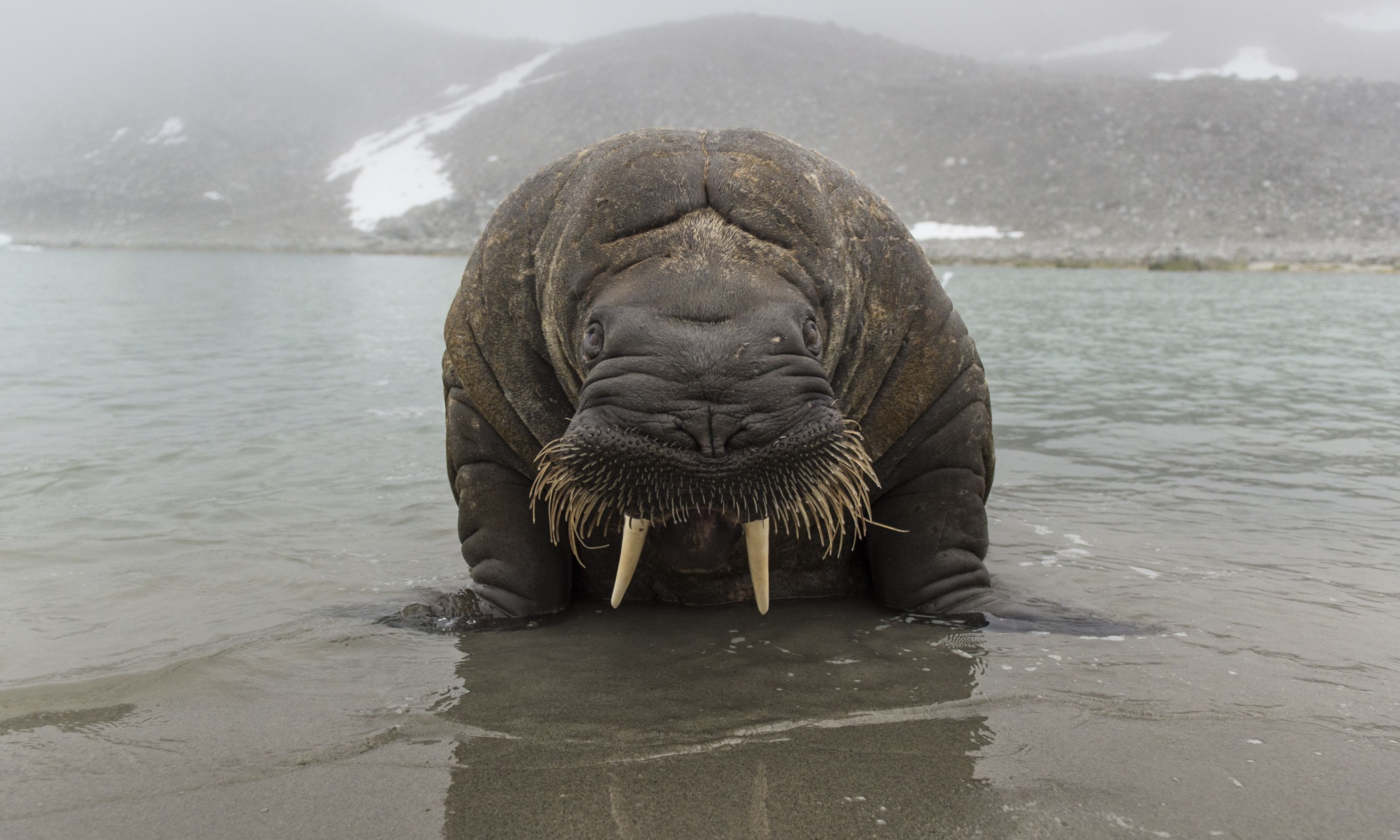 The week in wildlife – in pictures | Environment | The Guardian