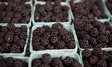 Blackberries