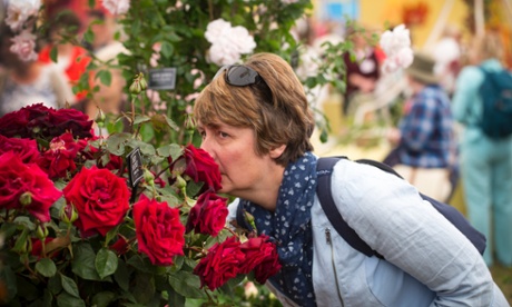 Smelling a rose.