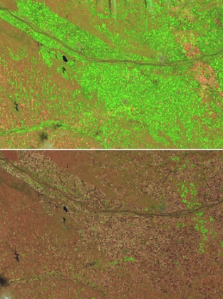 Fall Harvest in Nebraska