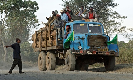 There is a high demand for wood from indigenous tree species in the construction and furniture industries.