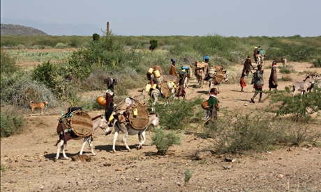 MDG : Turkana Aquifer : pastoralists migrating to Lotikipi in search of pasture and water