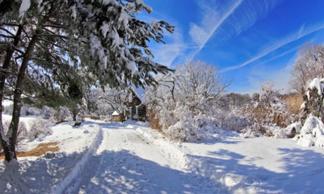 Long Trail, Melville Memorial Park Setauket Long Island