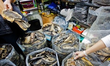 Information is available to help you shop sustainably. 