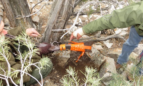A Winchester Model 1773 was found by park workers in Great Basin National Park, Nevada, leaning against a tree