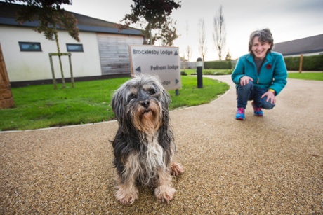 Marion takes Buddy to interact with patients to help make mental health wards be more fun and homely.
