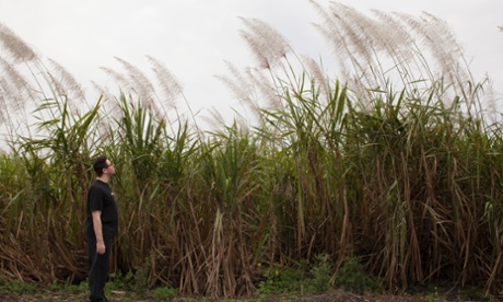 Ben taking a walk around the sugarcane fields that surround Miracle Village