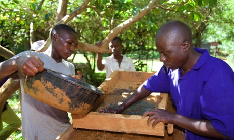 Thanks to a grant from Comic Relief, 900 miners in Kenya, Tanzania and Uganda are working towards Fairtrade certification.