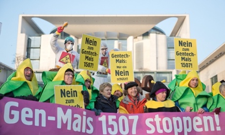 People protest in Berlin against the authorisation of genetically modified maize with signs and banners reading ‘Stop GMO Maize 1507’.