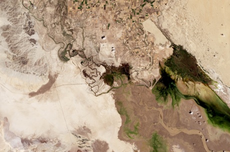 A Pulse of New Life on the Colorado River