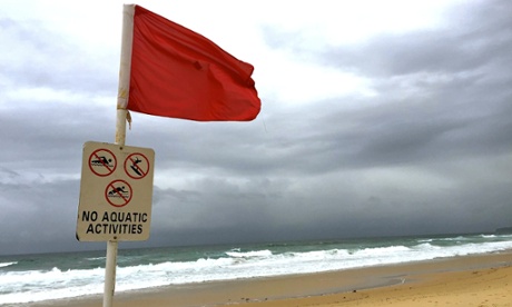 Shark warning: beach closed