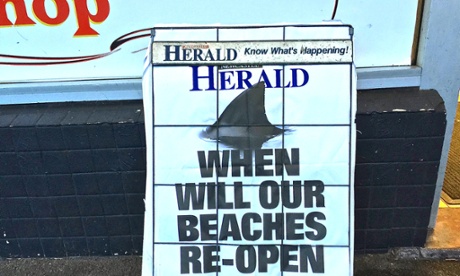 Shark warnings: the Newcastle Herald