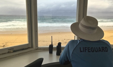 Shark warnings: lifeguard Isaac Morgan