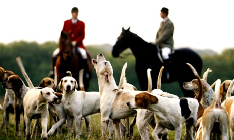 Mounted huntsmen ride with their foxhounds at the Old Surrey Burstow and West Kent Hunt, September 2003.