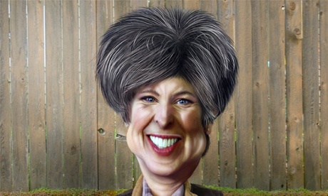 joni ernst illo