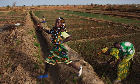 A family at their bean farm in Mali. Bill and Melinda Gates predict agricultural productivity will increase by 50% in Africa by 2030.