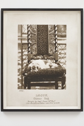 Queen Victoria's Pekingese, Looty