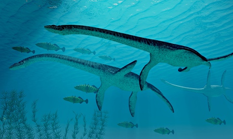 Three Plesiosaurs